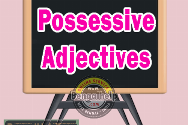 Possessive Adjectives Worksheet - Examples and Definition-172-3488936945.png